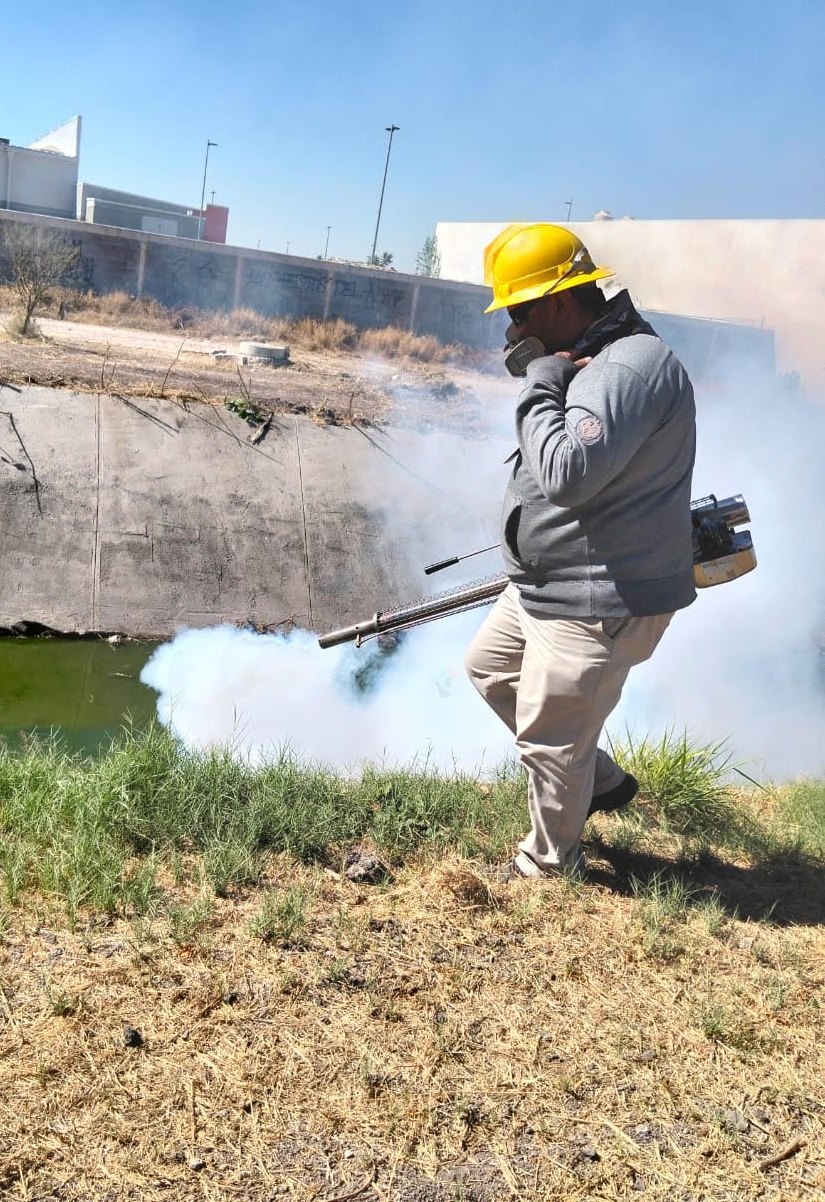 En Querétaro se efectúa vigilancia epidemiológica del dengue