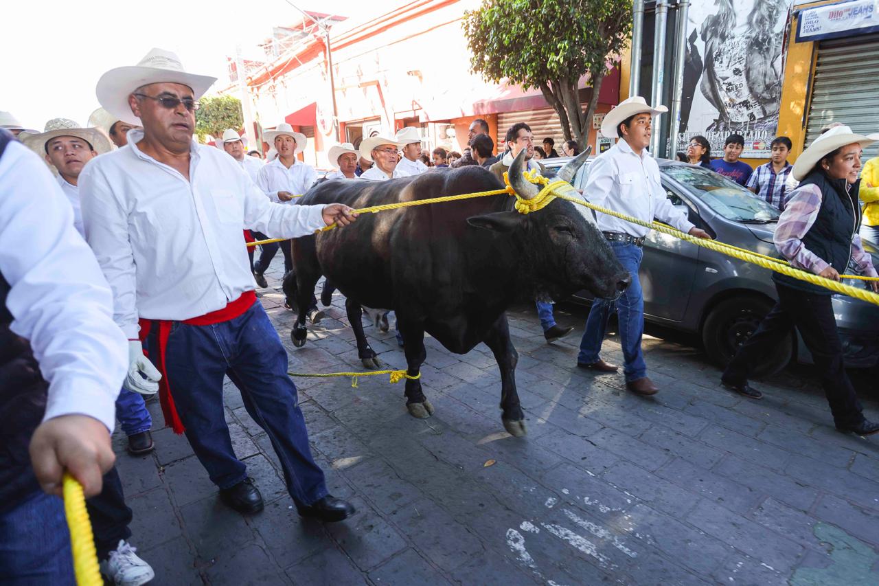 Asistió Chepe Guerrero al tradicional “Paseo del Buey¨