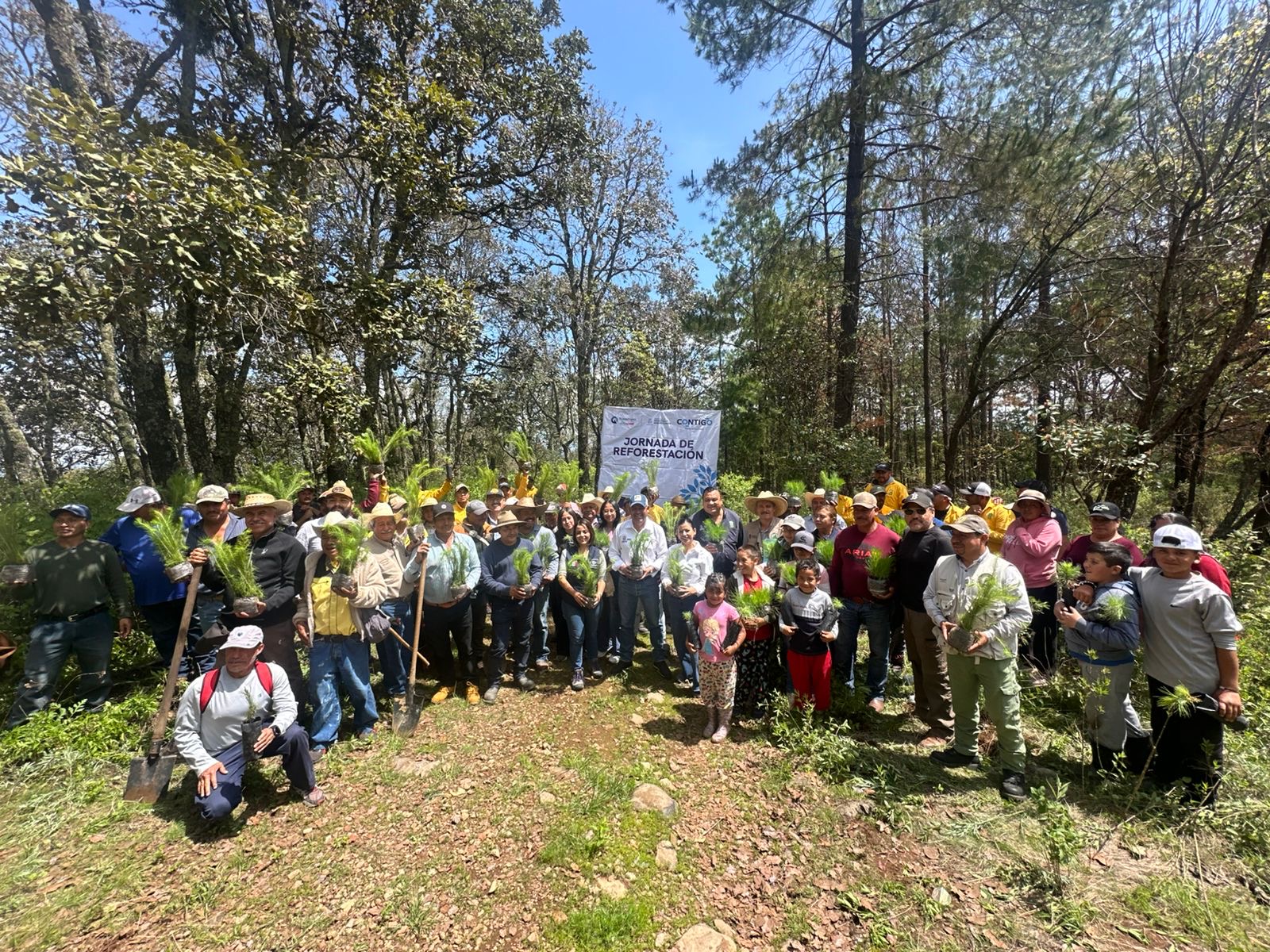 Suman casi 200 mil árboles en reforestación para el Estado: SEDEA