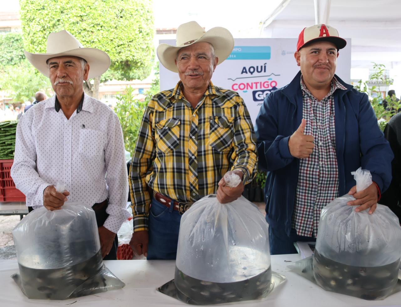 Entrega SEDEA 50 mil alevines en San Juan del Río
