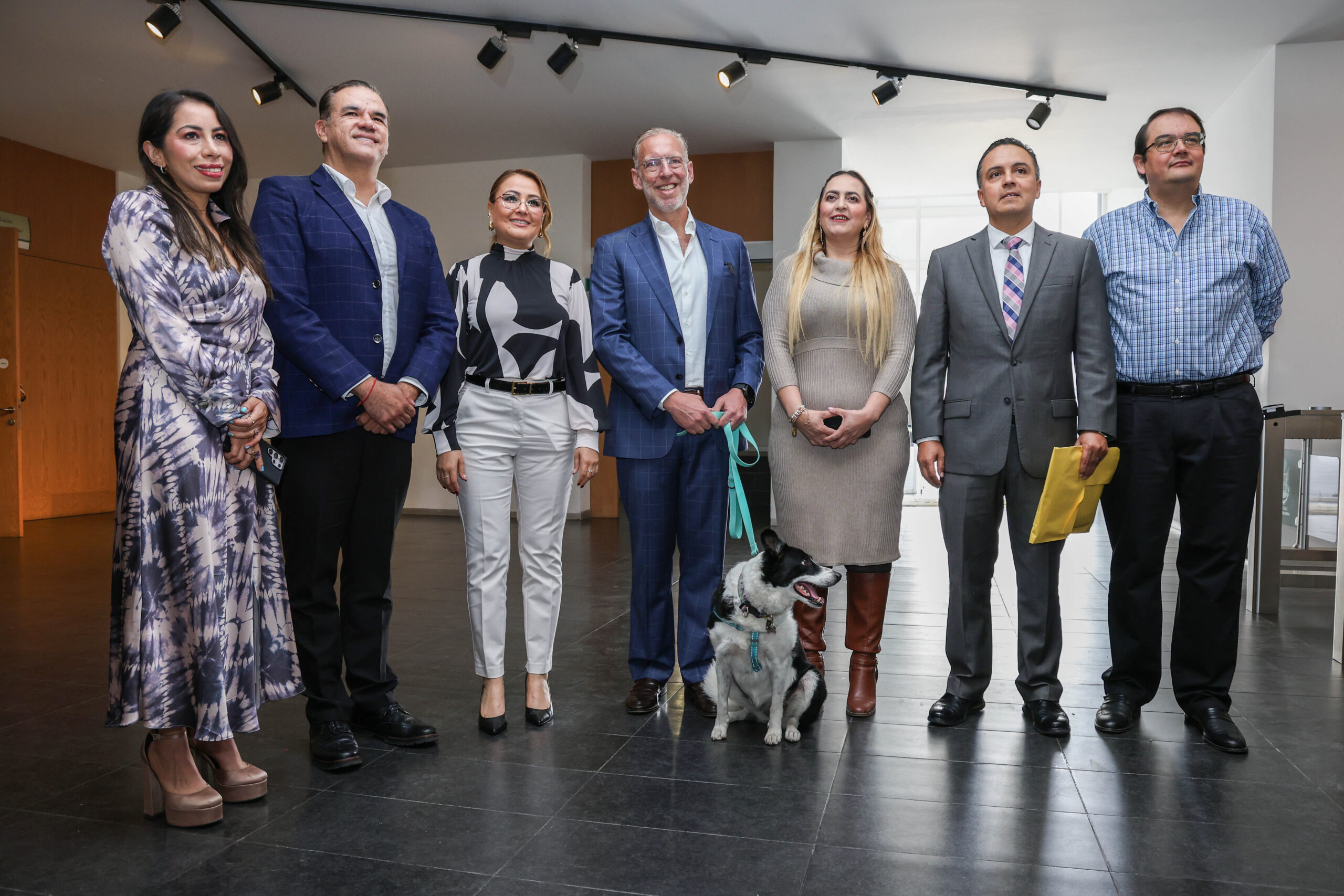 Poder Ejecutivo ingresa iniciativa de ley de Bienestar Animal al Congreso del Estado