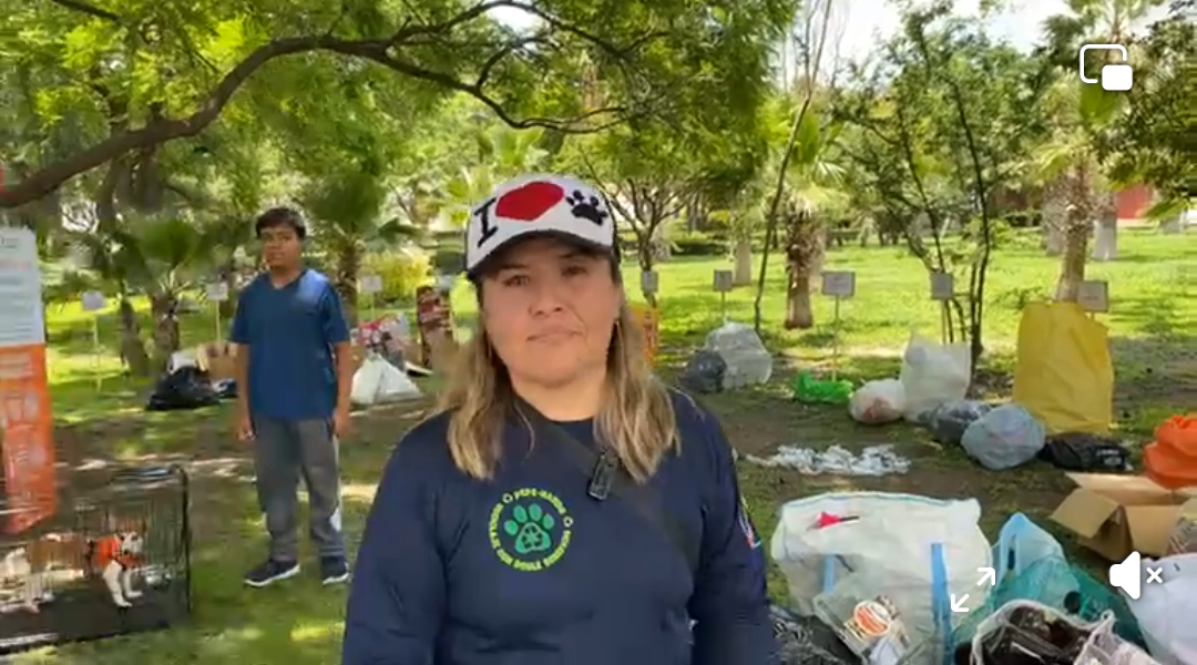 Reciclaje con causa: Medias Naranjas transforma basura en esperanza para animales en situación de calle