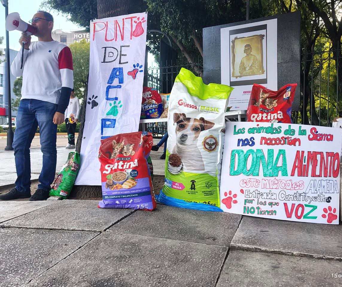 Realizan colecta “Échennos los Kilos” para apoyar a animales afectados por las lluvias en la Sierra