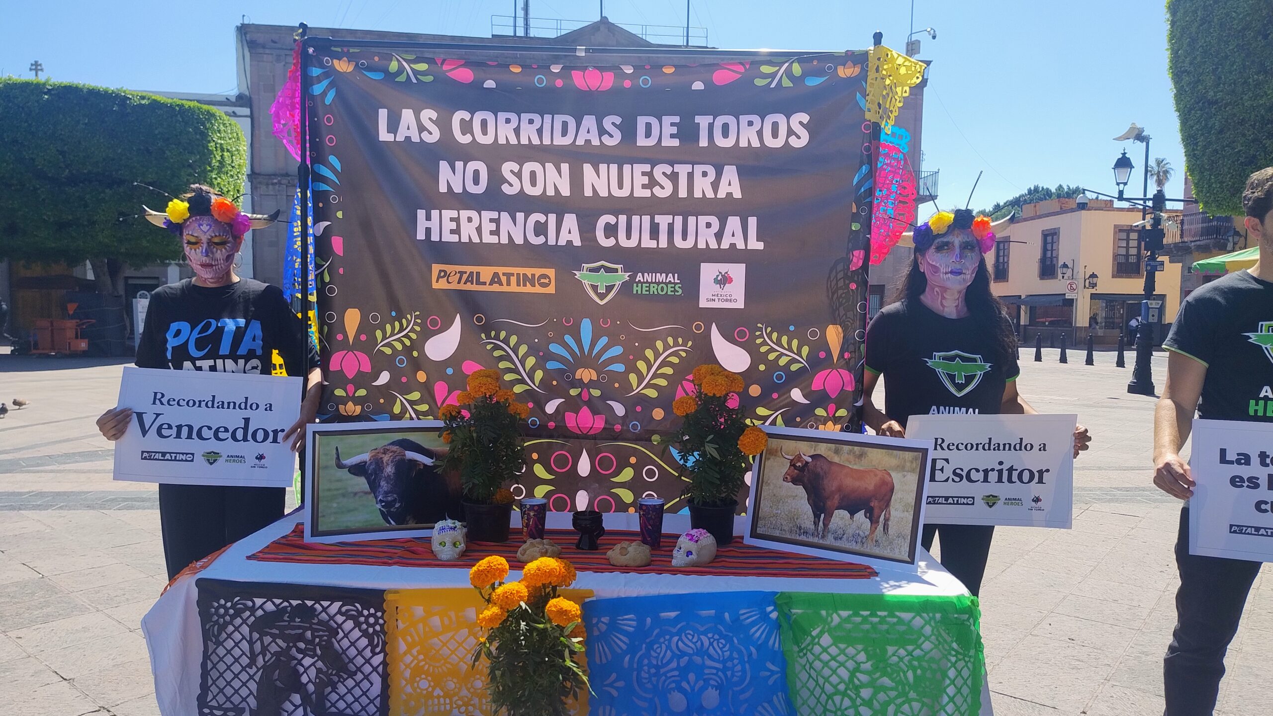 Colectivo Animal Heroes instala altar de Día de Muertos en Querétaro en protesta contra la tauromaquia