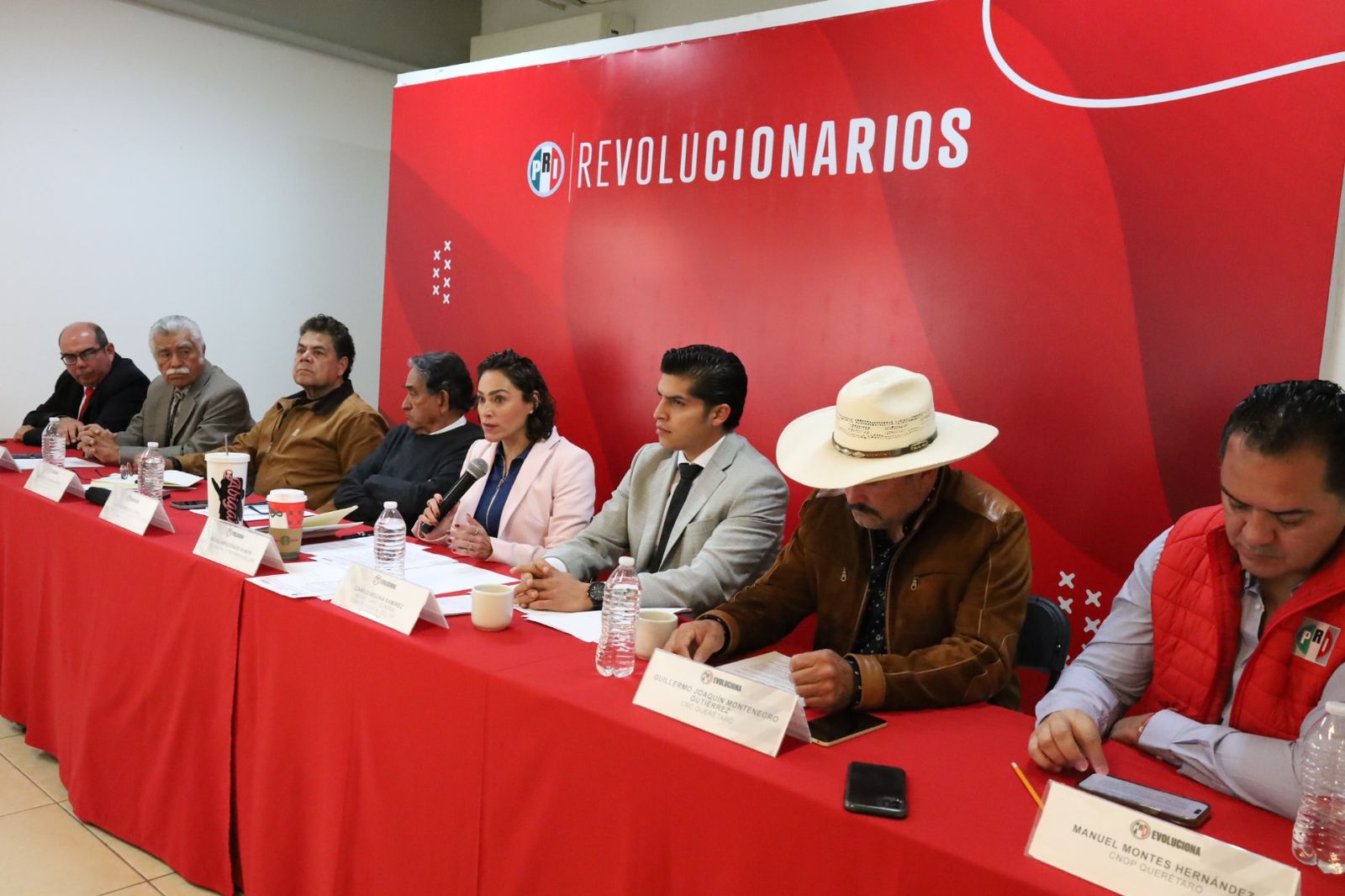 El PRI rechaza la nueva Ley General de Aguas: vulnera derechos, centraliza el poder y pone en riesgo a productores: Abigail Arredondo Ramos