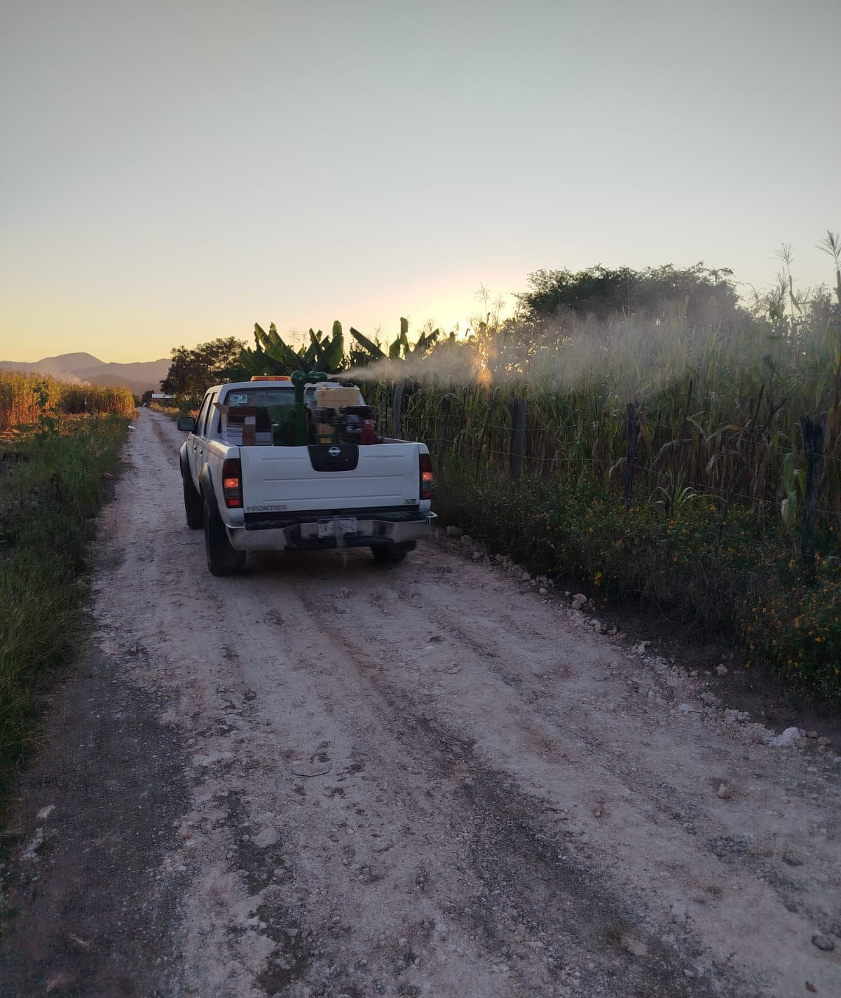 Participación ciudadana, clave para prevenir el dengue y eliminar criaderos