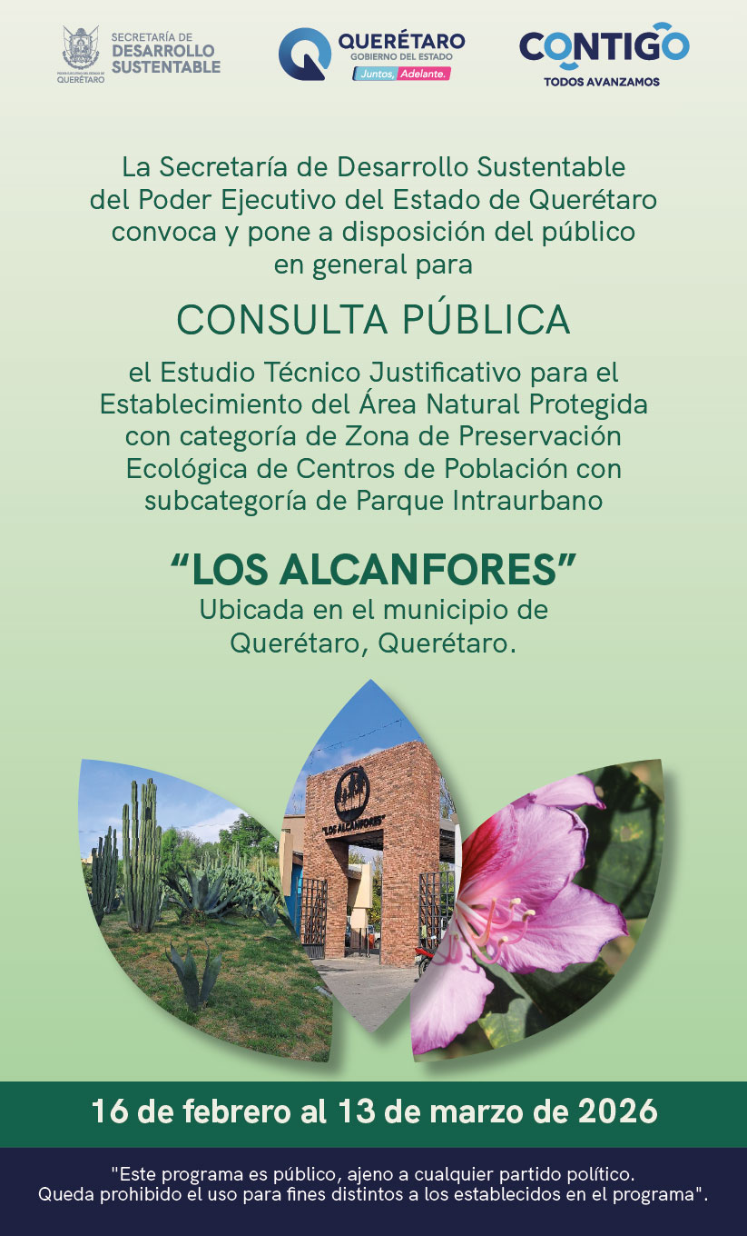 Emite SEDESU consulta pública para decreto del Parque Los Alcanfores como ANP