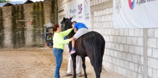 DIF Corregidora transforma vidas con 2 mil sesiones gratuitas de equinoterapia