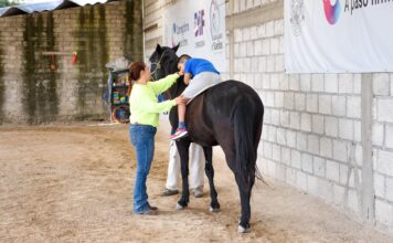 DIF Corregidora transforma vidas con 2 mil sesiones gratuitas de equinoterapia