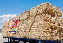 Refuerza Colón más Apoyos al Campo