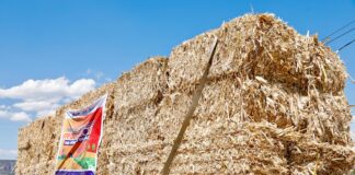 Refuerza Colón más Apoyos al Campo