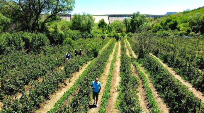 Campo de Zarzamora en La Salitrera: plan de fin de semana con sabor a tradición en Colón