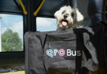 Anuncia Cuanalo Santos jornada de afiliación de mascotas al programa PetFriendly del sistema Qrobus
