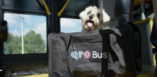 Anuncia Cuanalo Santos jornada de afiliación de mascotas al programa PetFriendly del sistema Qrobus