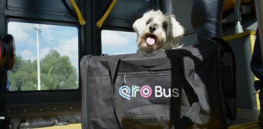 Anuncia Cuanalo Santos jornada de afiliación de mascotas al programa PetFriendly del sistema Qrobus