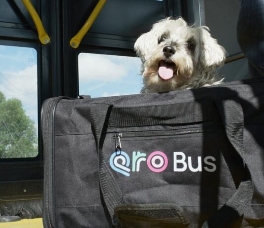 Anuncia Cuanalo Santos jornada de afiliación de mascotas al programa PetFriendly del sistema Qrobus