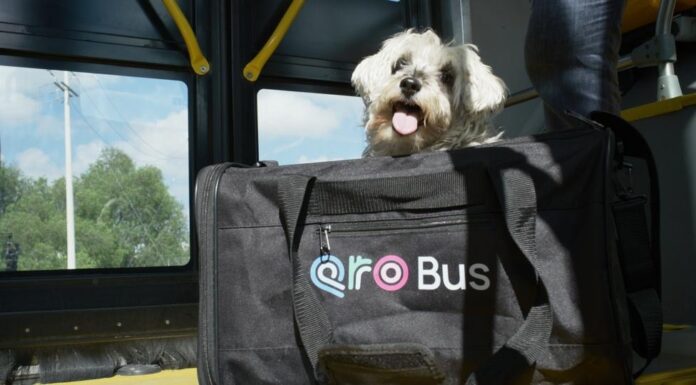 Anuncia Cuanalo Santos jornada de afiliación de mascotas al programa PetFriendly del sistema Qrobus