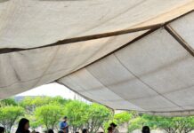 Municipio de Querétaro impulsa educación ambiental con programa “Entornos que Respiran”