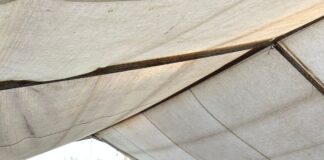 Municipio de Querétaro impulsa educación ambiental con programa “Entornos que Respiran”