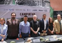 Anuncian Campirino, laberinto monumental de maíz en Huimilpan