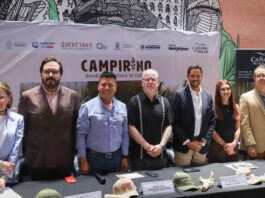 Anuncian Campirino, laberinto monumental de maíz en Huimilpan