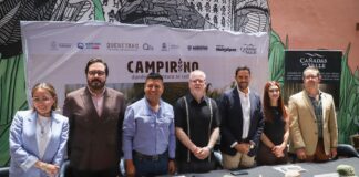 Anuncian Campirino, laberinto monumental de maíz en Huimilpan