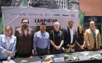 Anuncian Campirino, laberinto monumental de maíz en Huimilpan