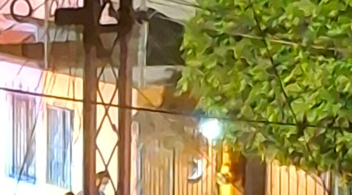 Riña en Lomas de San Pedrito Peñuelas deja un hombre sin vida; vecinos denuncian creciente inseguridad en la zona norte
