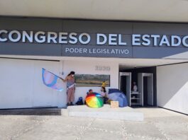 Colectivos trans y no binarios rechazan veto a Ley de Identidad de Género en Querétaro