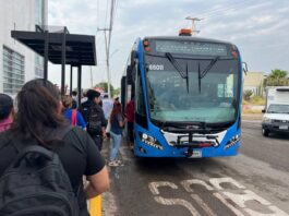 Qrobus pasa del lugar 24 al segundo lugar nacional en satisfacción: INEGI