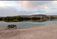 Autoridades intensifican acciones contra plaga de mosquitos en Querétaro 2000 y zonas aledañas