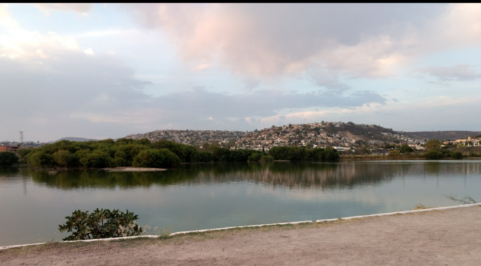 Autoridades intensifican acciones contra plaga de mosquitos en Querétaro 2000 y zonas aledañas