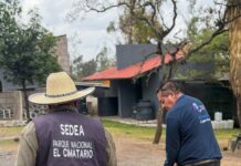 IMCA fortalece la atención y el resguardo de fauna silvestre en Corregidora
