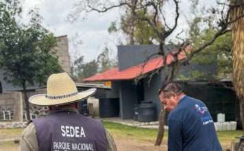 IMCA fortalece la atención y el resguardo de fauna silvestre en Corregidora