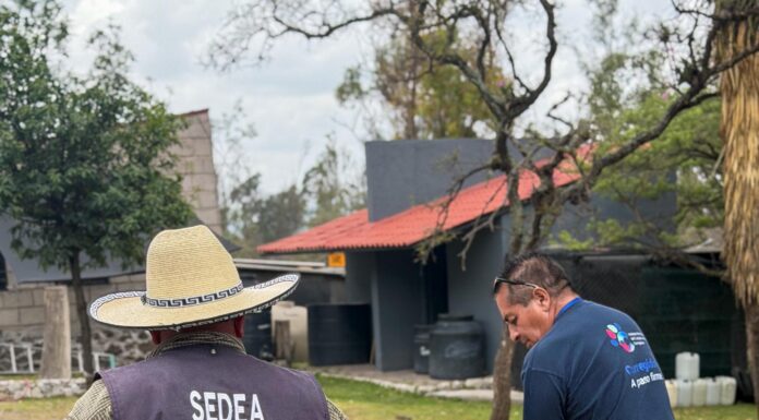 IMCA fortalece la atención y el resguardo de fauna silvestre en Corregidora