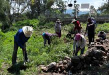 Se Unen Pueblo y Autoridades de Colón para Rehabilitar Casa de Salud en Puerta de Enmedio
