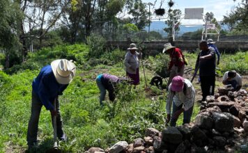 Se Unen Pueblo y Autoridades de Colón para Rehabilitar Casa de Salud en Puerta de Enmedio