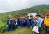 Reforestación Masiva en Colón