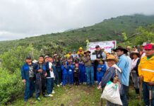 Reforestación Masiva en Colón