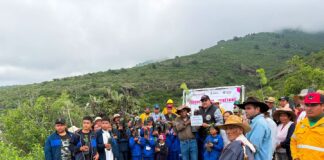 Reforestación Masiva en Colón