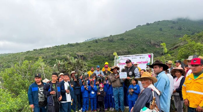 Reforestación Masiva en Colón