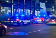 Hombre muere atropellado debajo de puente peatonal en Paseo 5 de Febrero