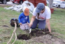 Corregidora celebra el Día del Árbol con reforestación y donación de cientos de ejemplares