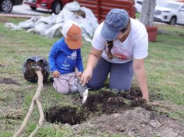Corregidora celebra el Día del Árbol con reforestación y donación de cientos de ejemplares