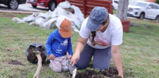 Corregidora celebra el Día del Árbol con reforestación y donación de cientos de ejemplares