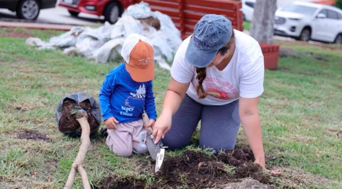 Corregidora celebra el Día del Árbol con reforestación y donación de cientos de ejemplares