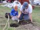 Corregidora celebra el Día del Árbol con reforestación y donación de cientos de ejemplares