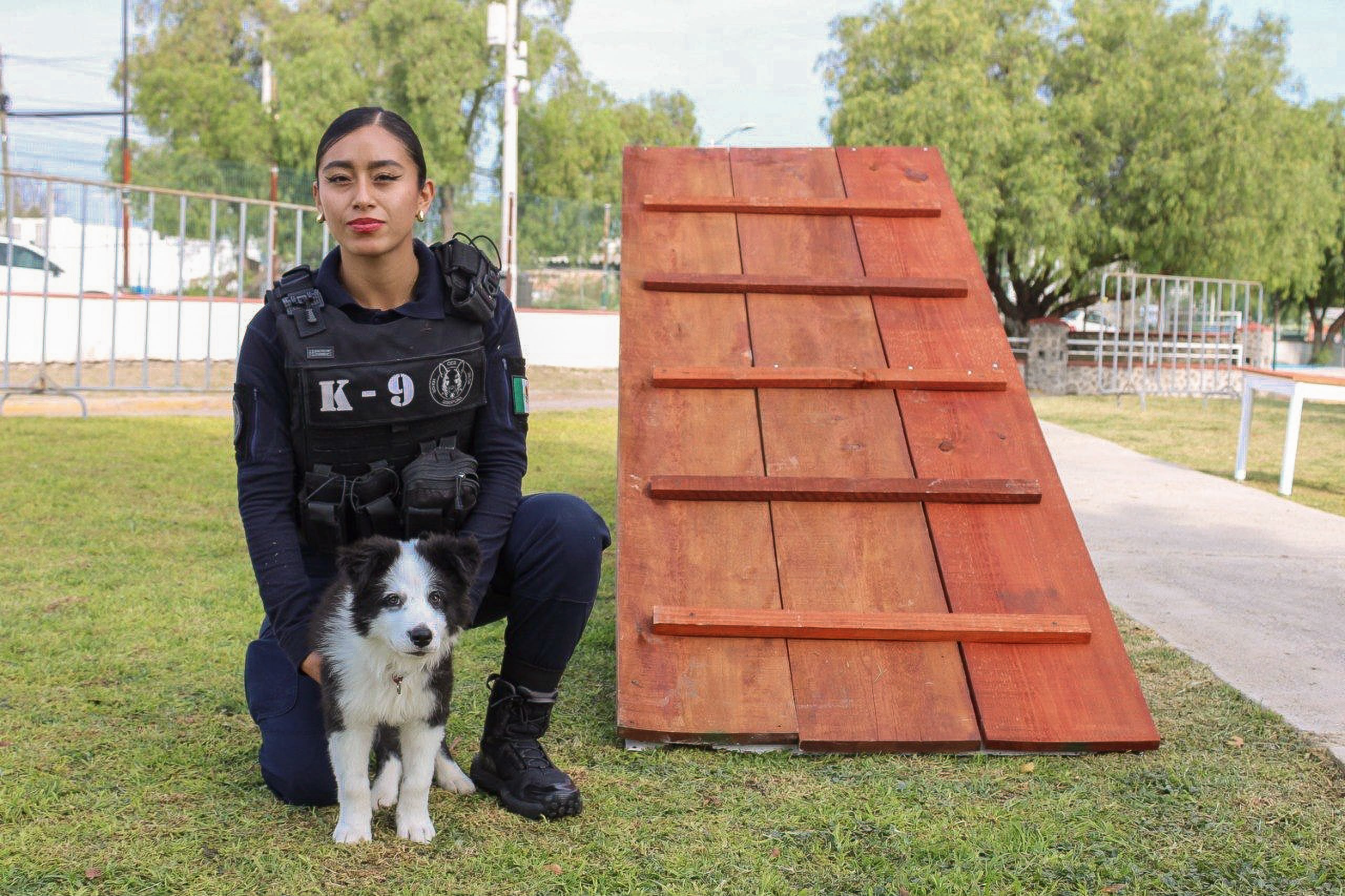 Más de 100 familias participan en Curso Básico de Adiestramiento Canino de la SSPM Corregidora