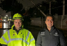 Lluvias dejan caída de árboles, postes y fallas eléctricas, pero sin afectaciones mayores en Querétaro: Felifer Macías