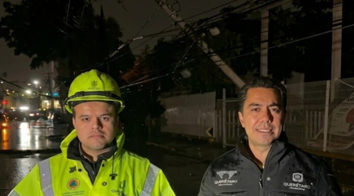 Lluvias dejan caída de árboles, postes y fallas eléctricas, pero sin afectaciones mayores en Querétaro: Felifer Macías